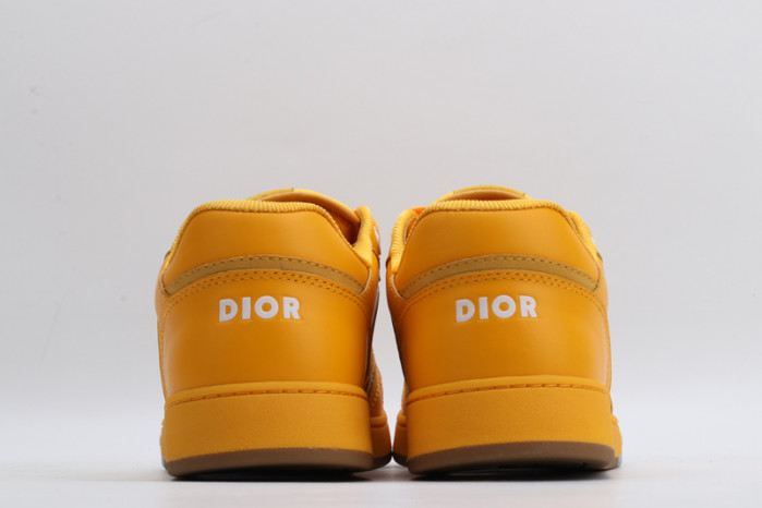 DI*O*R B27 PANKICK