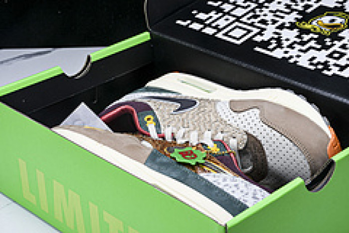 Division Street x Nike Air Max 1 "Oregon Ducks” HQ2639-100