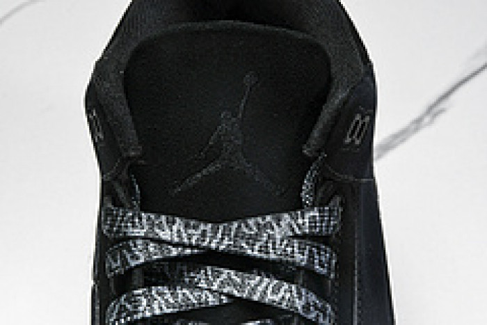 AIR JORDAN 3 CK9246-168