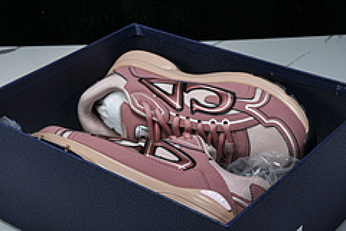 DI*O*R B30 PANKICK