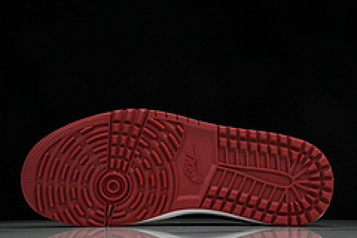 Air Jordan 1 Low Golf“USA”  DD9315-113