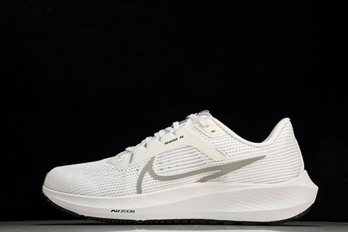 NK Air Zoom Pegasus 40 DV3853-102