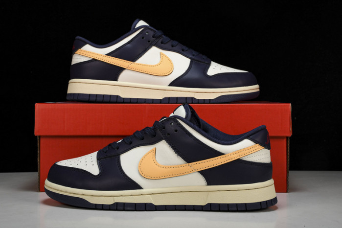NK DUNK LOW FV8106-181