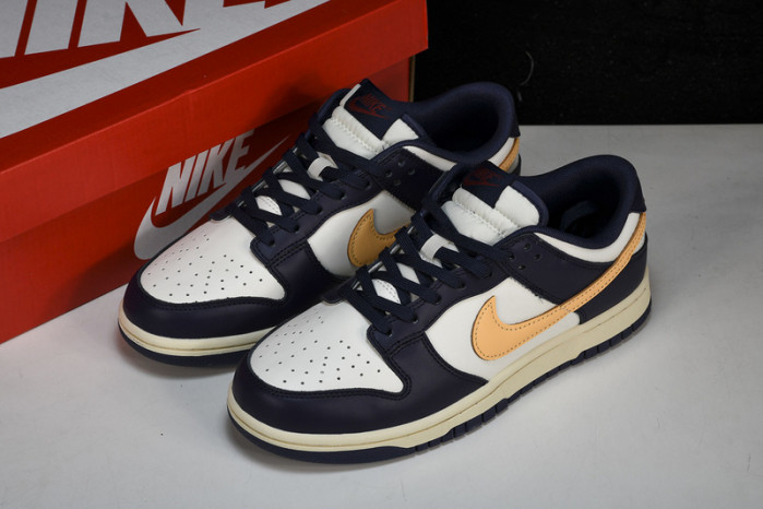 NK DUNK LOW FV8106-181