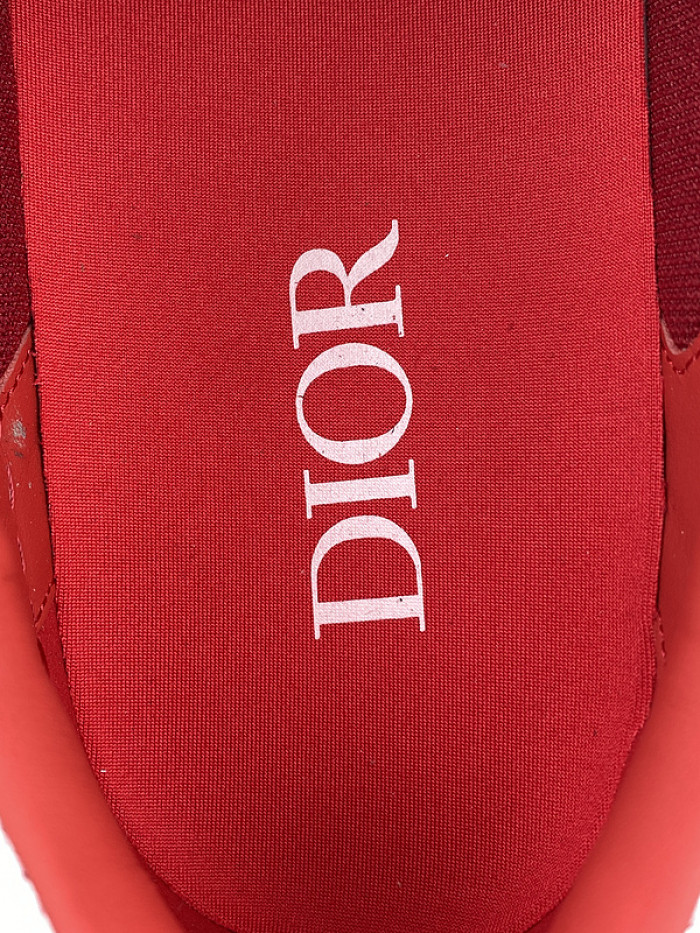DI*O*R B33 PANKICK
