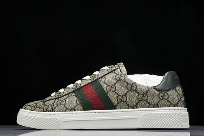 GUCC SNEAKER