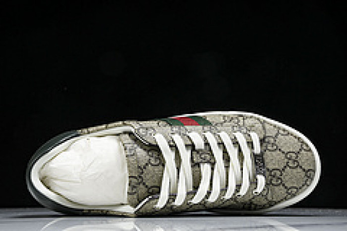 GUCC SNEAKER