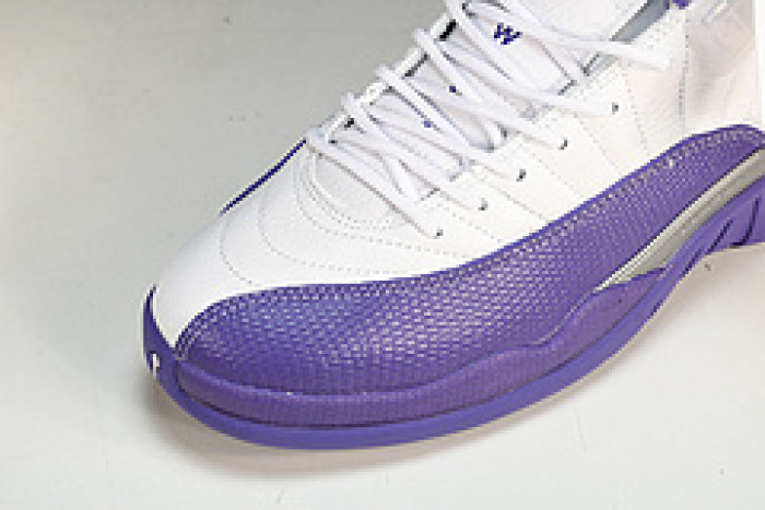 Nike Air Jordan 12 CT8013-150