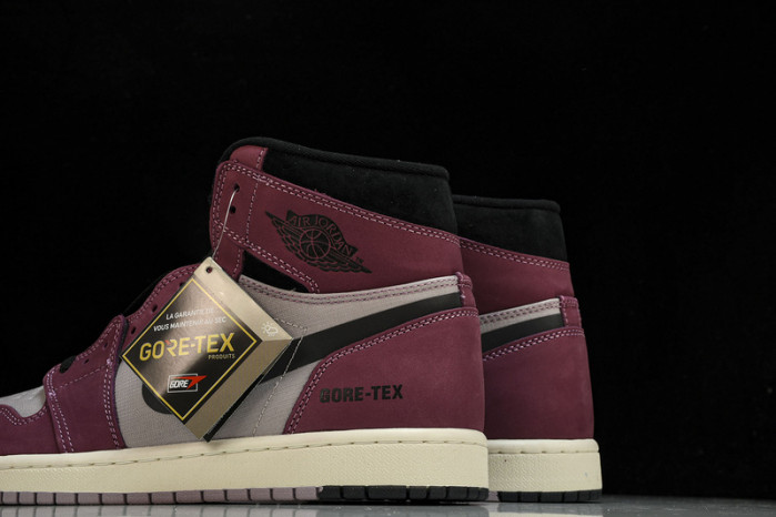 Air Jordan 1 DB2889-500V