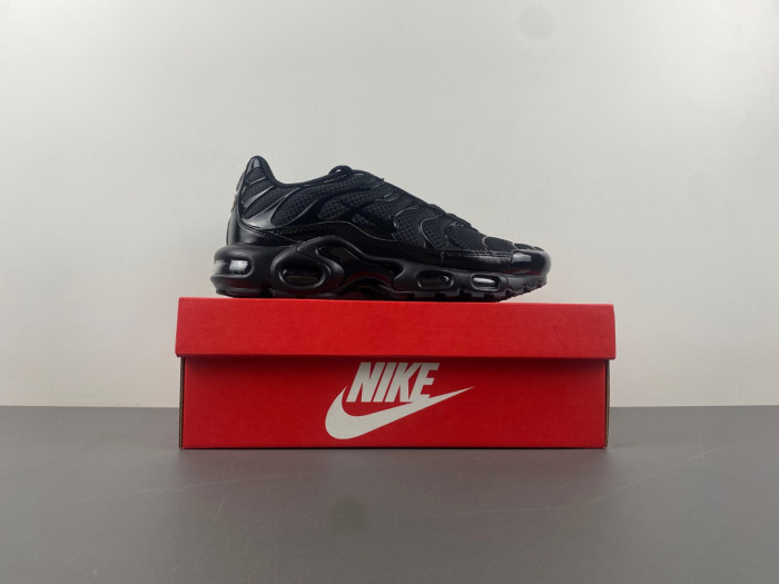 Nike Air Max Plu 604133-050