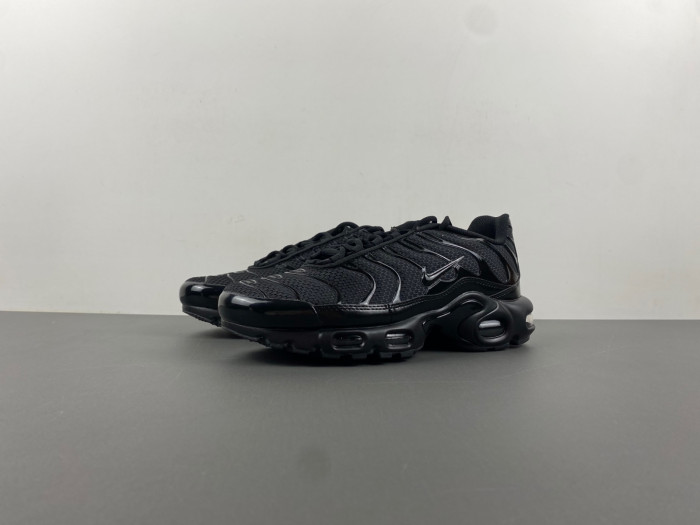 Nike Air Max Plu 604133-050
