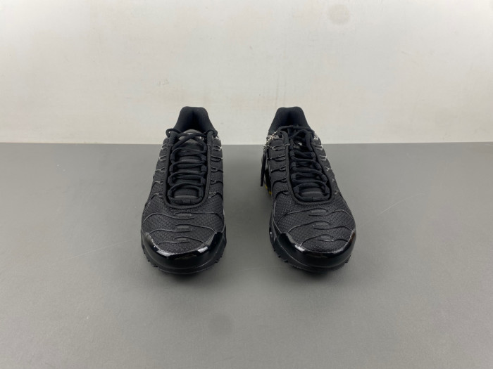 Nike Air Max Plu 604133-050