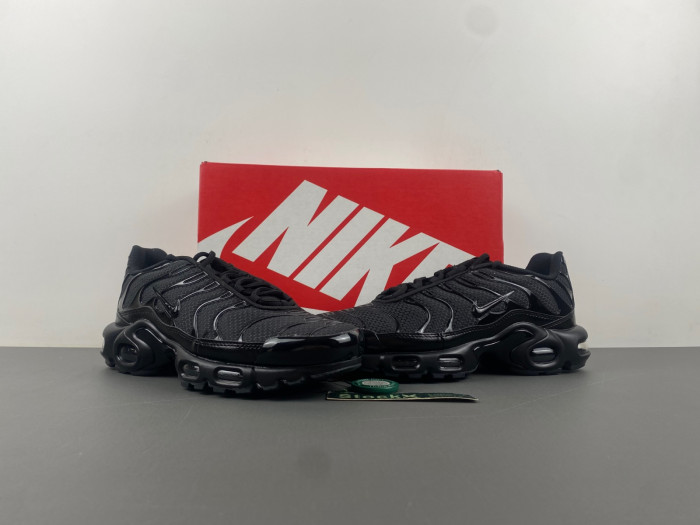 Nike Air Max Plu 604133-050