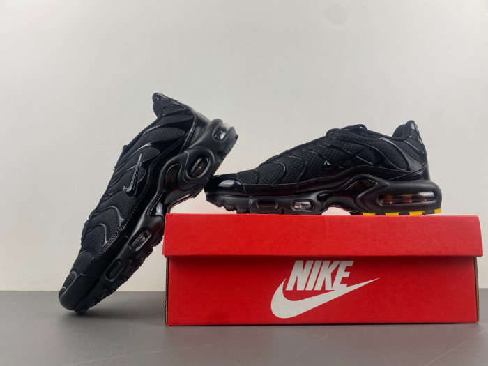 Nike Air Max Plu 604133-050