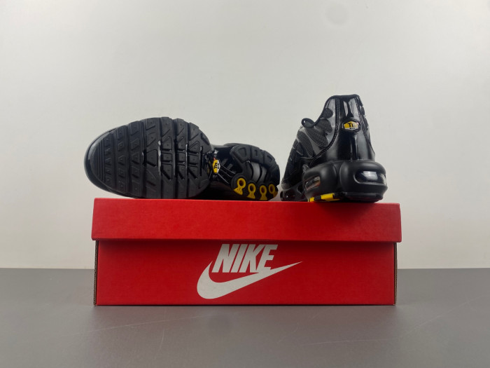 Nike Air Max Plu 604133-050