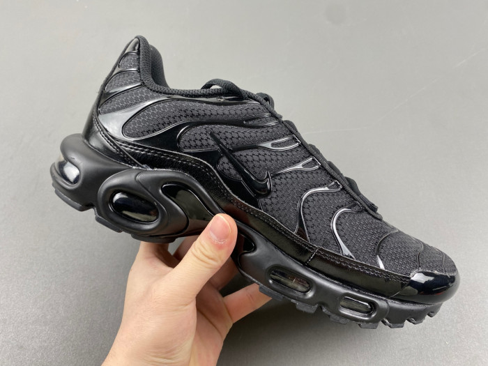 Nike Air Max Plu 604133-050