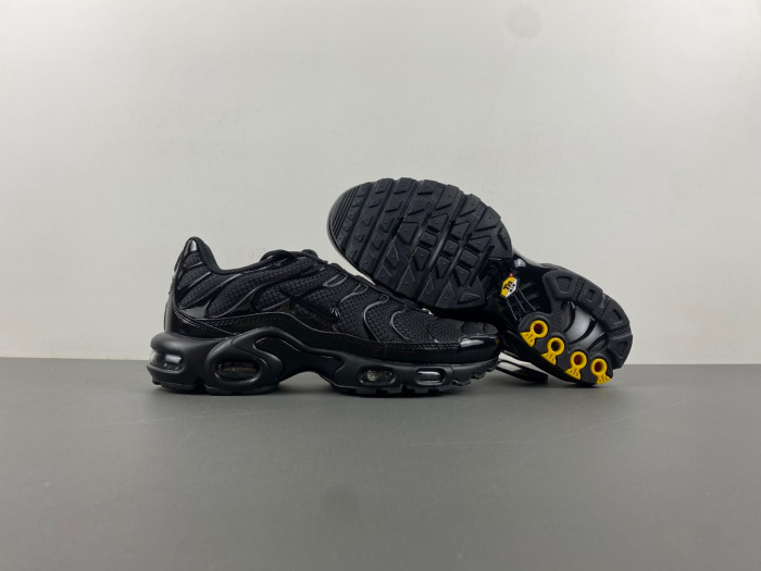 Nike Air Max Plu 604133-050