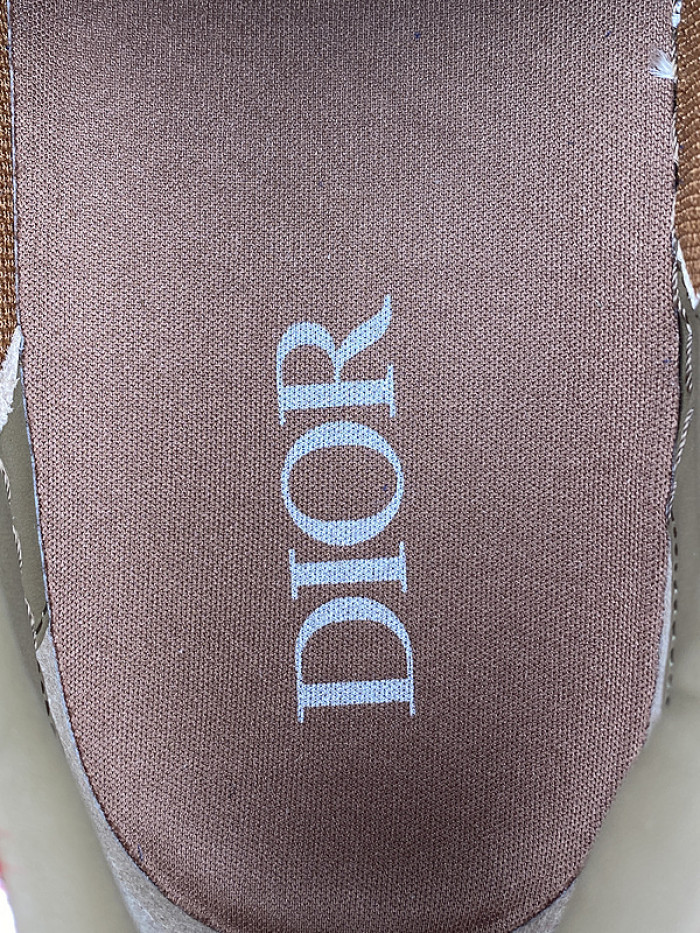 DI*O*R B33 PANKICK