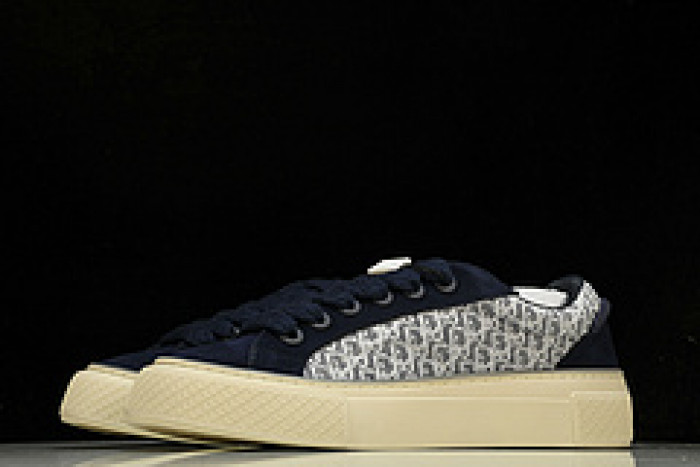 DI*O*R B33 PANKICK