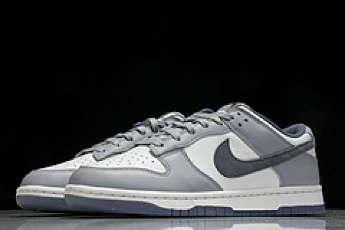 Nk Dunk Low "Light Carbon"​ FJ4188-100