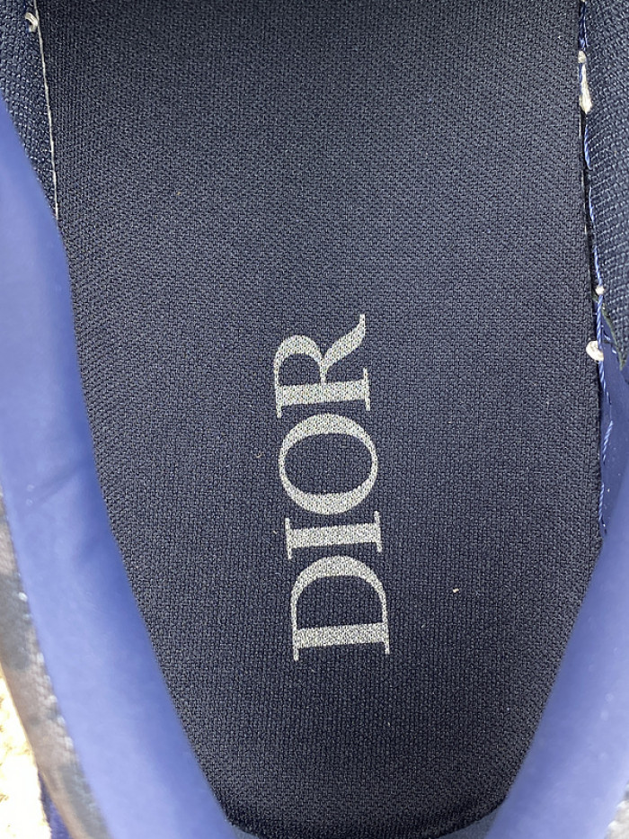 DI*O*R B33 PANKICK