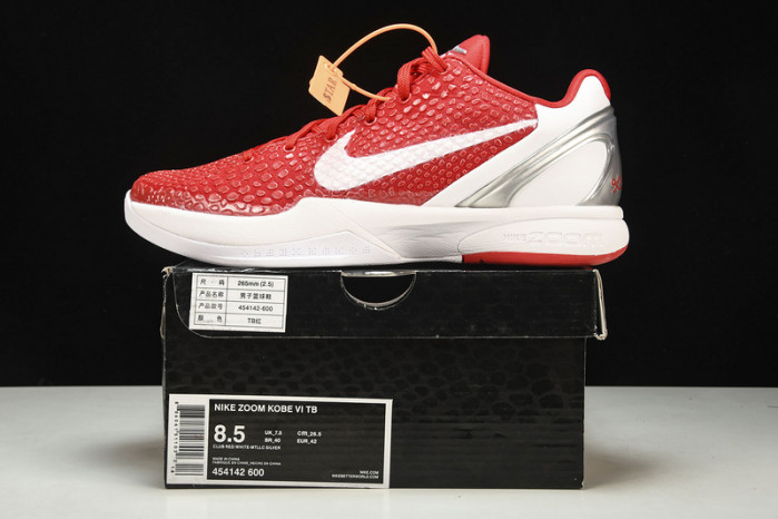Zoom Kobe 6 TB