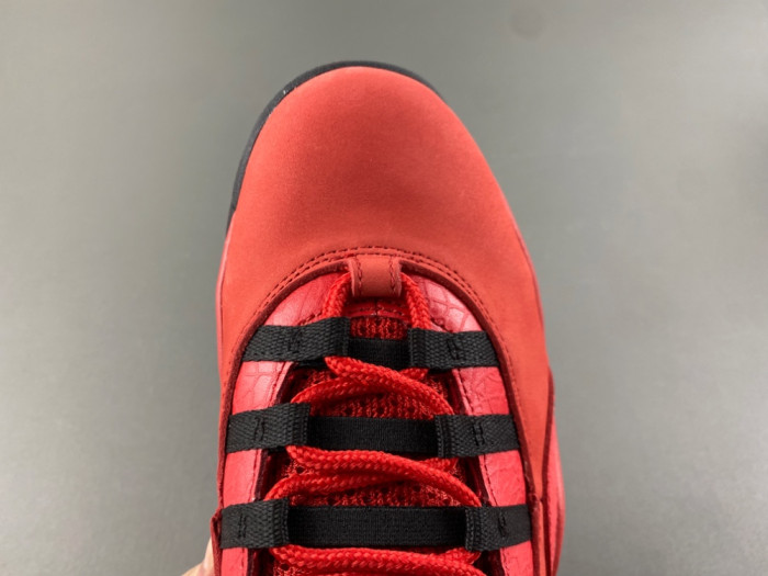 Air Jordan 10 Steve Wiebe HOH” AJ9100-625