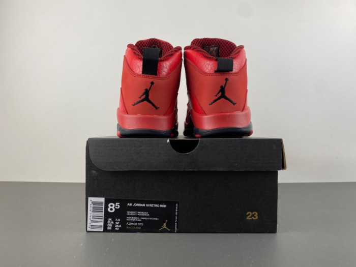 Air Jordan 10 Steve Wiebe HOH” AJ9100-625