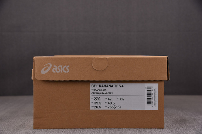 As*ic*ss shoes