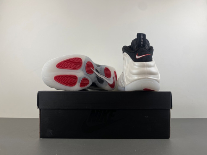 Nike Air Foamposite Pro 2025 