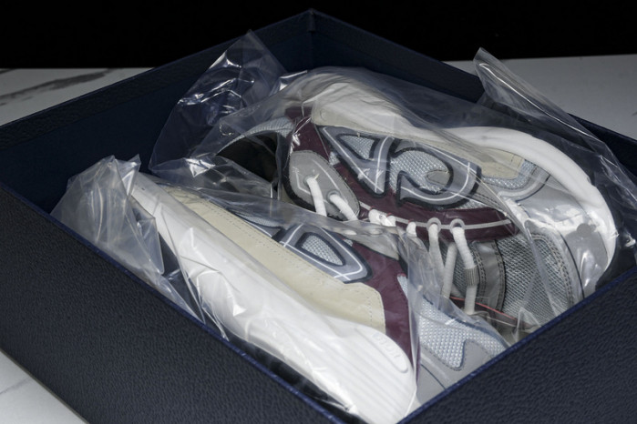 DI*O*R B30 PANKICK