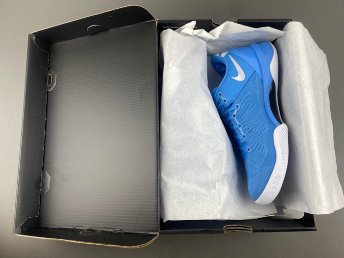 Nike Kobe 8 Protro TB HM6469-401