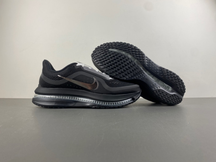 Nike Pegasus Premium IH4369-001